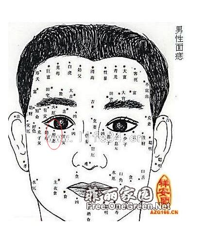 妨妻痣|男人面相中妨妻痣是什么意思